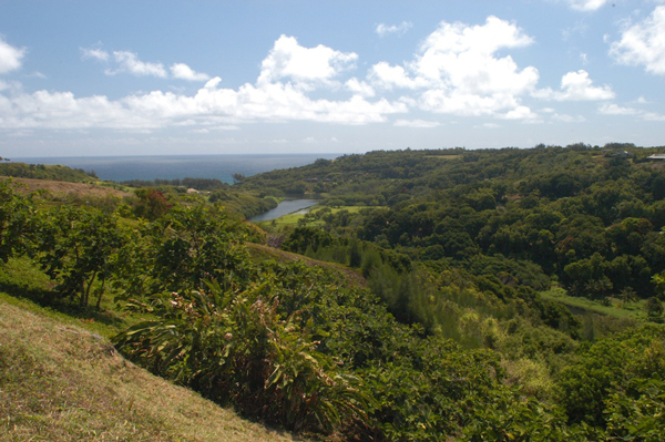 Kilauea-River-View