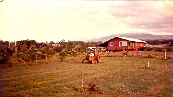 Planting  and Plowing 1981