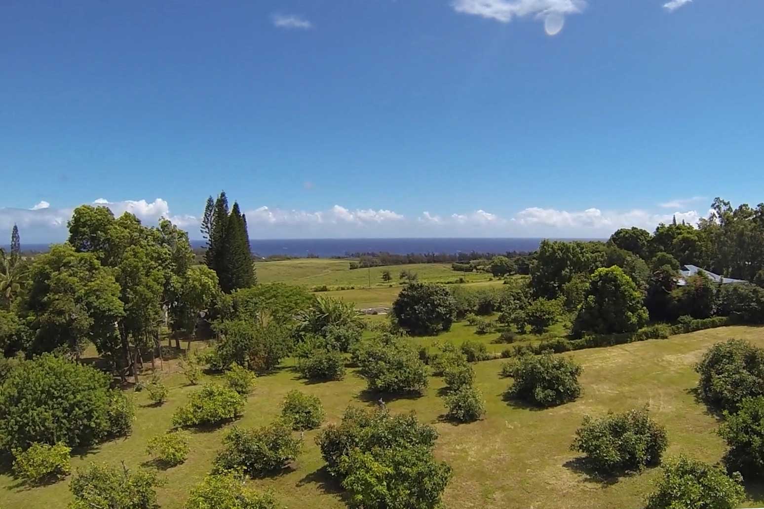 Aerial view of home with orchard North Kohala