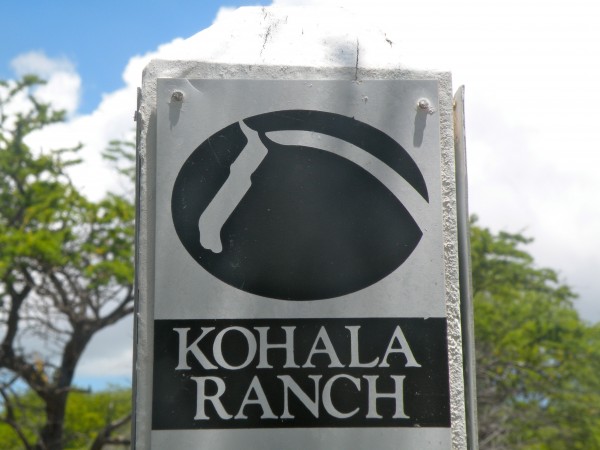 Kohala Ranch