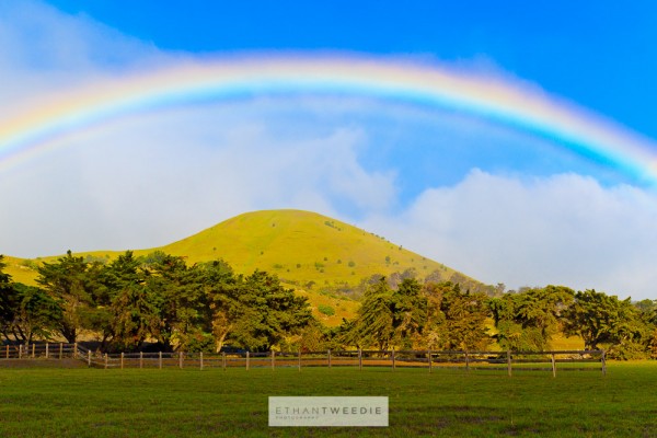 Knob Hill Rainbow