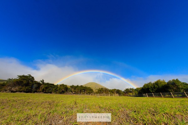 Waimea Rainbow 1