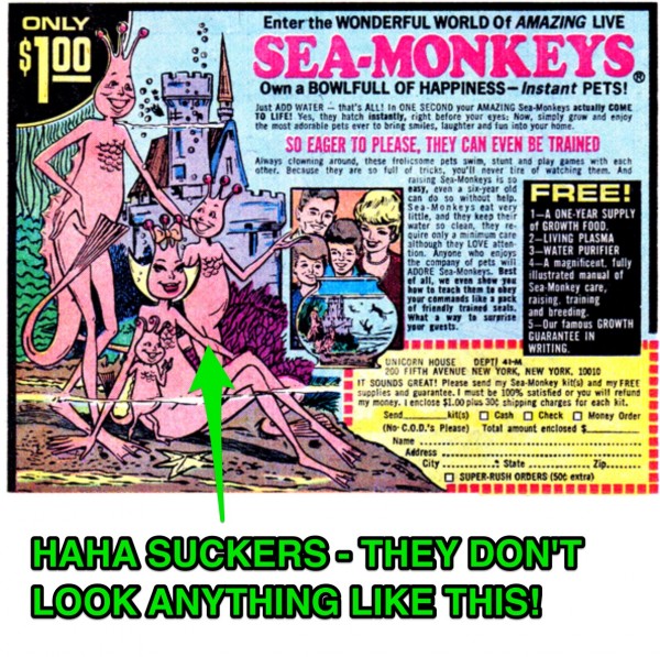 sea_monkeys_-_Google_Search