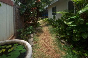 Side Yard of Papalalo Home