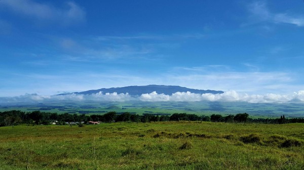 Mauna Kea from Waimea