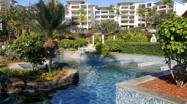 Tropically landscaped pool