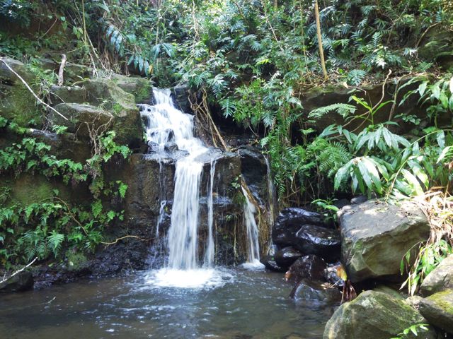 Alan Cohen's private waterfall at 455 Kukuna Rd.