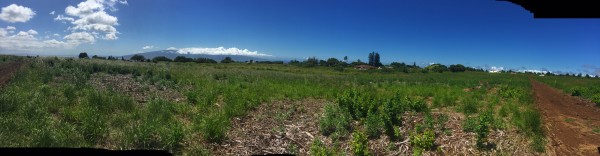 Kualono Panoramic View