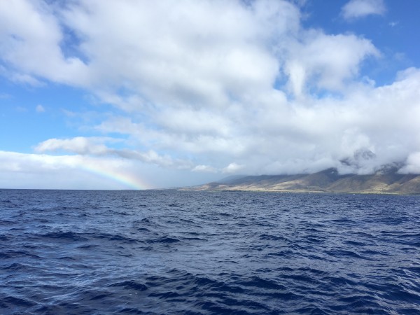 Maui Boat ride